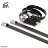 Black Steel 304 Cable Tie