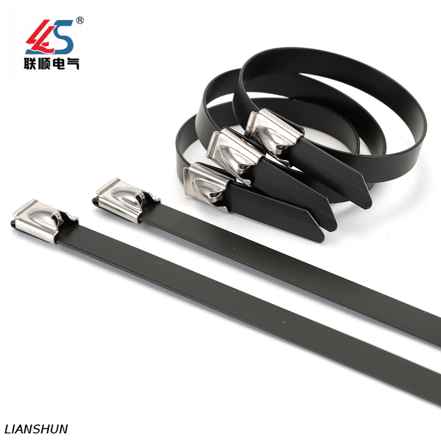 Black Steel 304 Cable Tie