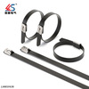 Black Steel 304 Cable Tie