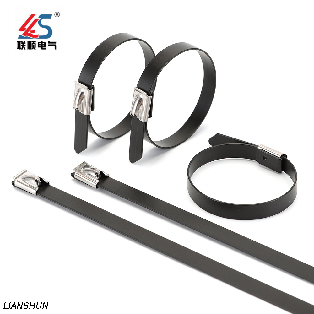 Black Steel 304 Cable Tie