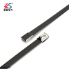 Black Steel 304 Cable Tie