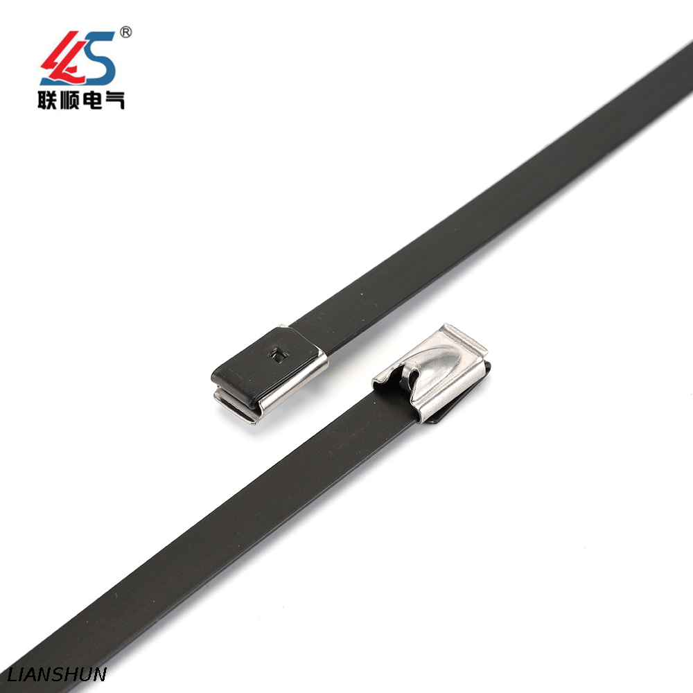 Black Steel 304 Cable Tie
