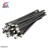 Black Steel 304 Cable Tie